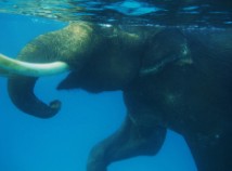 Photo Hiroshi Takano