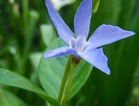 Les rendez vous du Docteur Schmitt